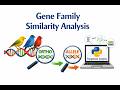 Gene Family Similarity Analysis and Orthologue Detection with Python: A step-by-step guide