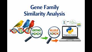 Gene Family Similarity Analysis and Orthologue Detection with Python: A step-by-step guide