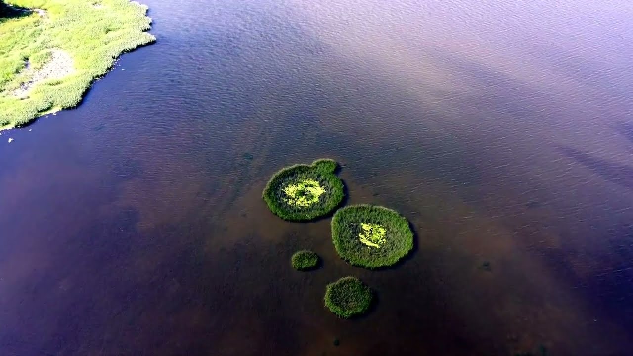 Vaalimaa Camping, Hämeenkyläntie, Virolahti, Finnland