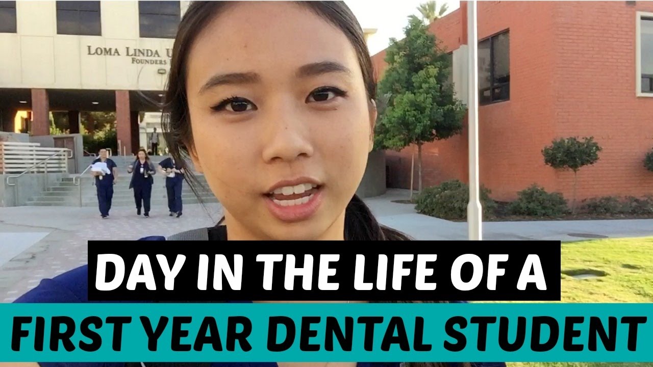 Day in the Life of a First Year Dental Student || Brittany Goes to Dental School