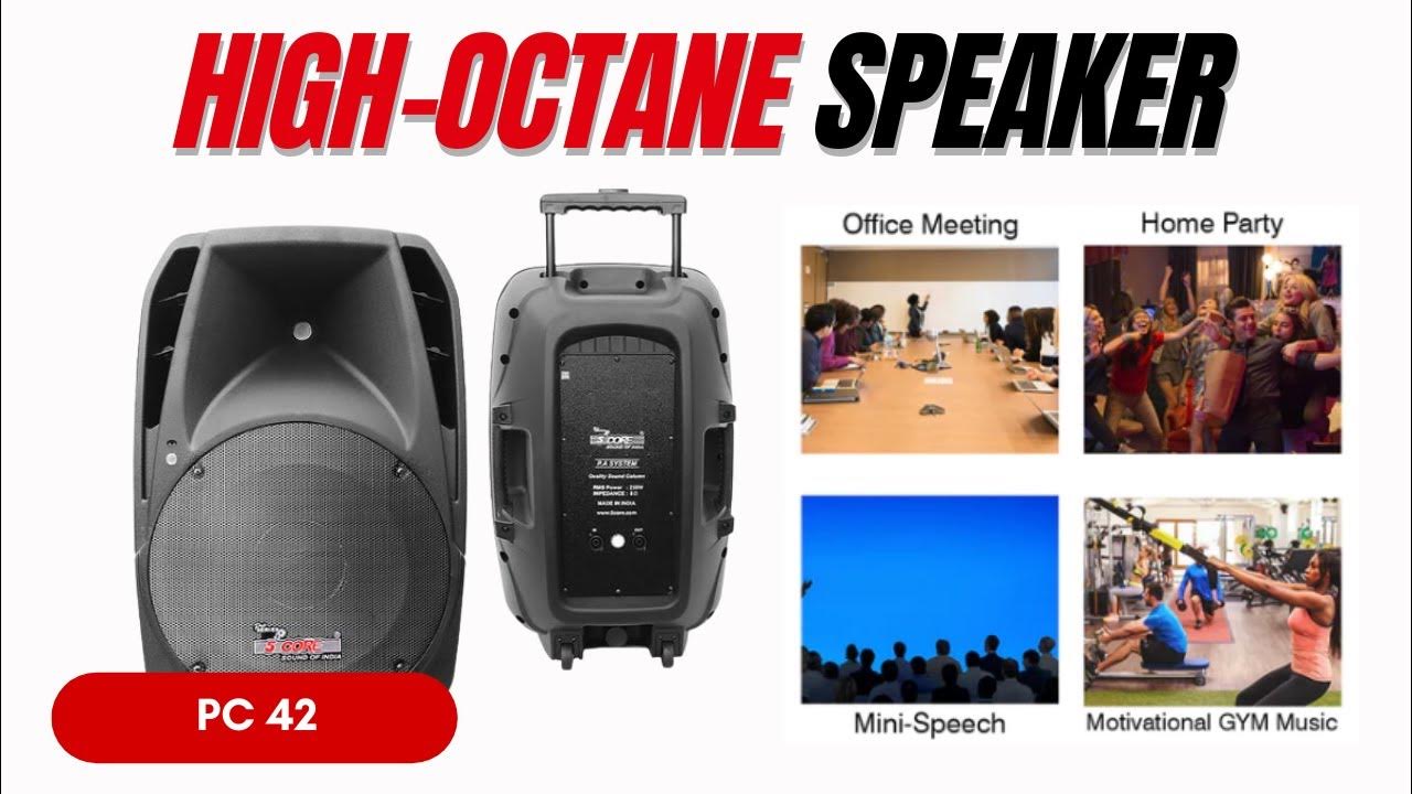 Best 15" Inch Passive DJ Speaker System In USA 2023 1600W PMPO Pro