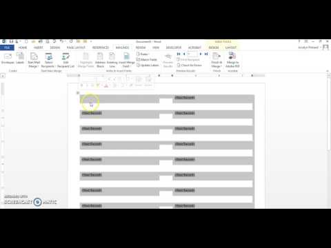 SIMnet Chapter 5 Mail Merge using Labels