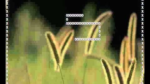 Snake in x86-64 assembly, lesson 6