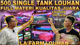 NEW FACE Farm Louhan Indonesia 500 Single Tank Louhan Full Material Champion LA Farm Klaten