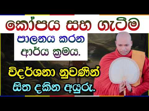 සතර අපායෙන් මිදීමට සිත සකස් කරගන්නා අයුරු | Hasalaka Seelawimala Thero | 3056