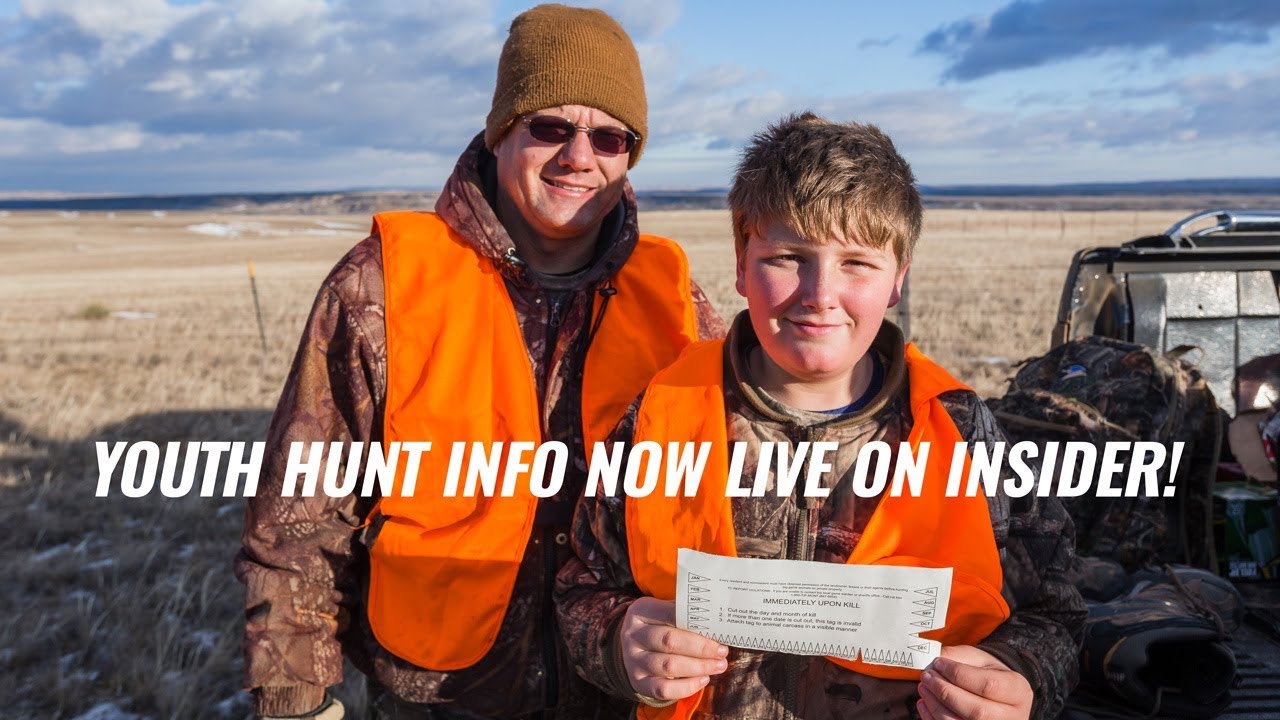 INSIDER Youth Hunts and Draw Odds YouTube