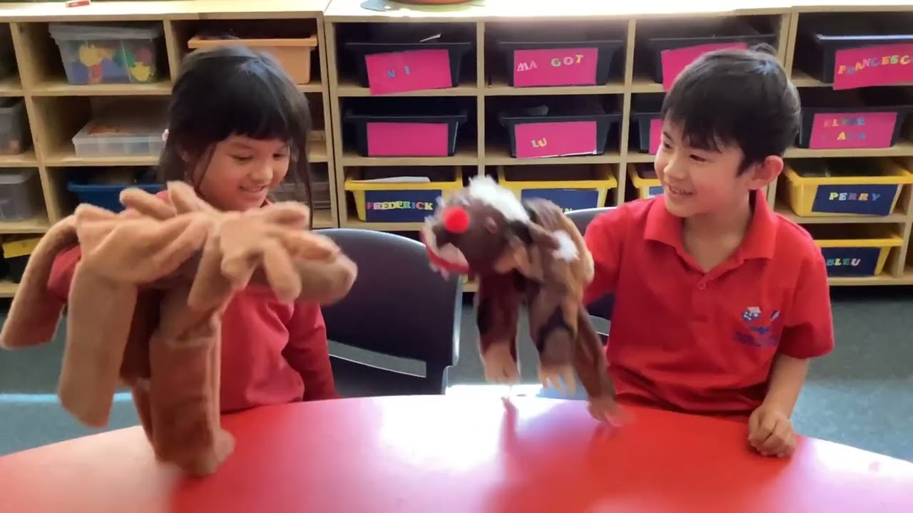 AUSTRALIE - Lycée franco-australien de Canberra - Festival rideau rouge