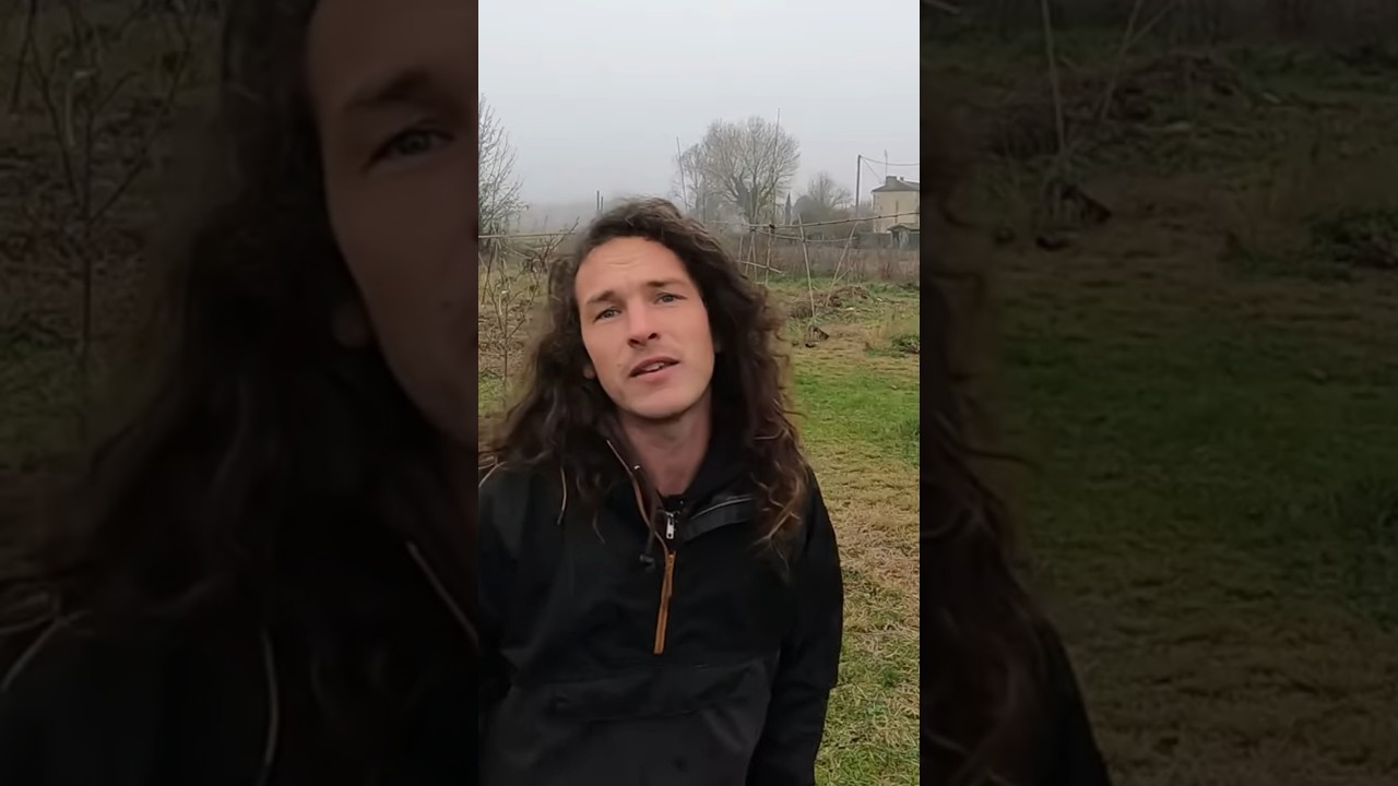 Zygomatik - Ce qui déraille 