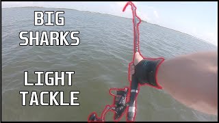 Catching BIG Sharks on LIGHT Tackle! (JUMPING SHARK!)