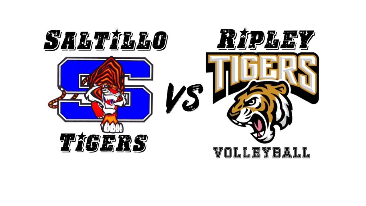 Volleyball Saltillo Tigers (V) vs Ripley Tigers (V) YouTube