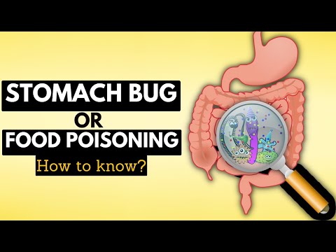 How to Tell if You Have a Stomach Bug or Food Poisoning: A Complete Guide