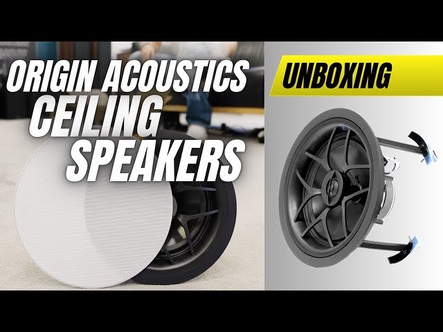 Best Budget Origin Accoustics D61 Director Series Ceiling Speaker USA