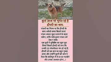 कुत्ते आज भी भुगते रहे हैं द्रौपदी का श्राप | Dogs are still suffering the curse of Draupadi | #gk
