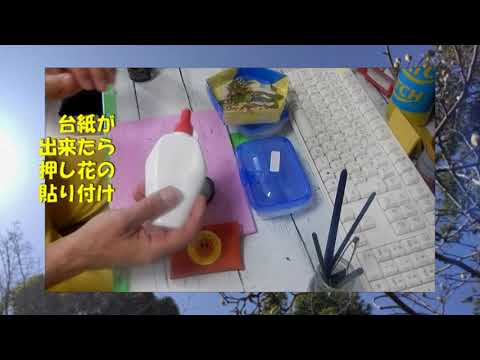 2026 03 26撮影　パーキンソン病リハビリの自主トレ動画