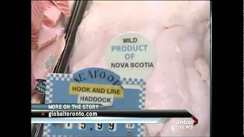 SUSTAINABLE SEAFOOD - Minna Rhee finds out what is Ocean Wise for Global News