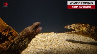 【速報】百貨店に水族館併設 全国初、松坂屋静岡店