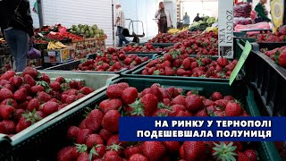 На ринку у Тернополі подешевшала полуниця