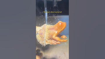 Close-up of 4-axis mini CNC machine processing wood.#cnc #creative #diy #machine  #woodworking #fyp