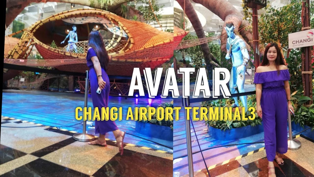 Changi Airport and Jewel Changi Airport launch Avatar and marine  entertainment installations - Passenger Terminal Today