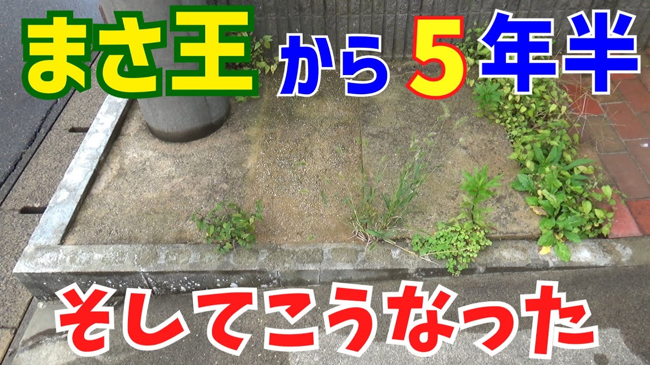 Masao, weed control, and DIY progress report after 5 and a half