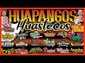 HUAPANGOS HUASTECOS #27Exitos