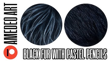 How to draw short and long black fur with pastel pencils | Pastel pencils for beginners | Tutorial