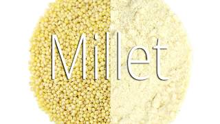 Download Lagu Can you Mockmill Millet? MP3 Download Lagu Can you Mockmill Millet? MP3