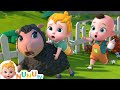 Baa Baa Black Sheep More Nursery Rhymes Kids Songs NuNu Tv Baa Baa Black Sheep More Nursery Rhymes Kids Songs NuNu Tv