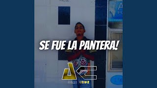 Video thumbnail of "Alex Cruz y Su Quinto Imperio - Se Fue La Pantera"