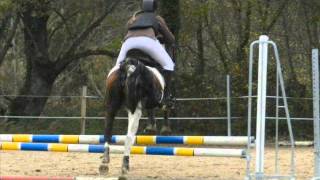 25 Novembre 2012 CSO MtM 1. Prépa 50cm b. Mélanie et Toochi