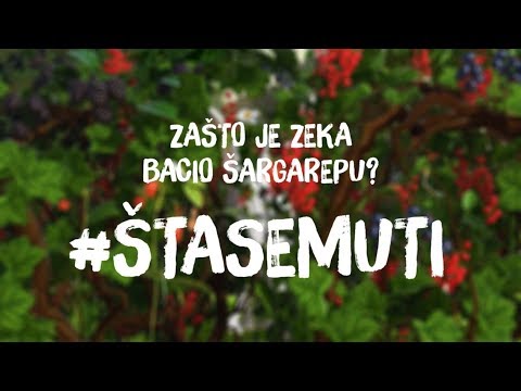 Video: Zašto želite šargarepu