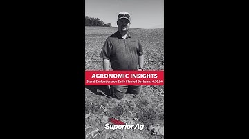 Stand Evaluations on Early Planted Soybeans | Superior Ag Agronomic Insights 4.30.2024