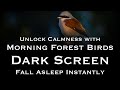 Unlock Inner Peace - Bird Sound &amp; Calm Forest Sound - Black Screen - Sleep Sounds