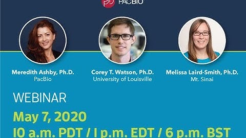 Understanding SARS-CoV-2 and Host Immune Response to COVID-19 with PacBio Sequencing