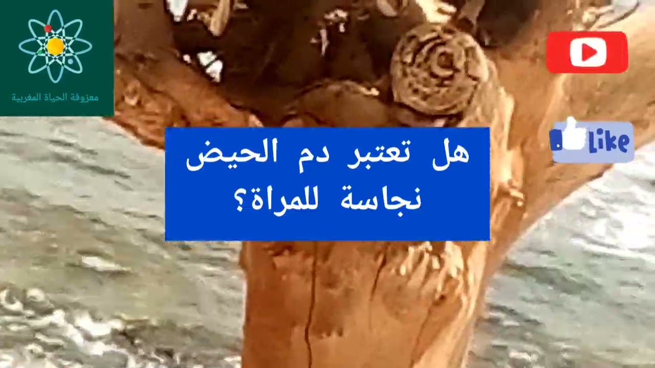 هل تعتبر دم الحيض نجاسة للمرأة؟