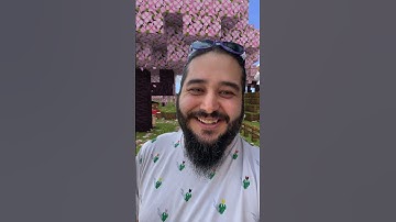 TRY THE NEW MINECRAFT FILTER!