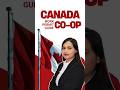 Canadian Co-op Work Permit | Everything You Need to Know