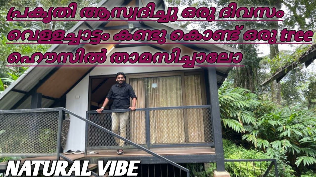 Bamboo dale bison valley | Tree house | private waterfall | Create the VIBES