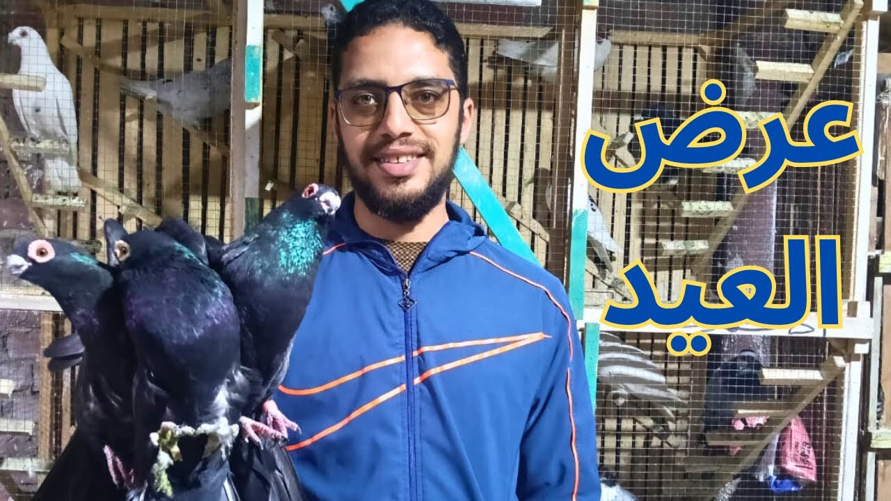 غيه حمام كامله للبيع كل انواع الحمام