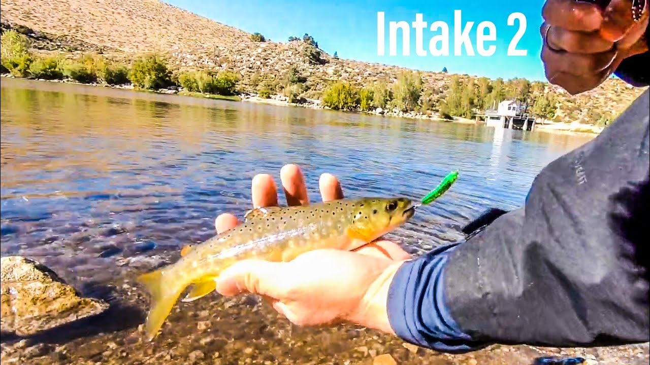 Intake 2 fishing! Limits - YouTube