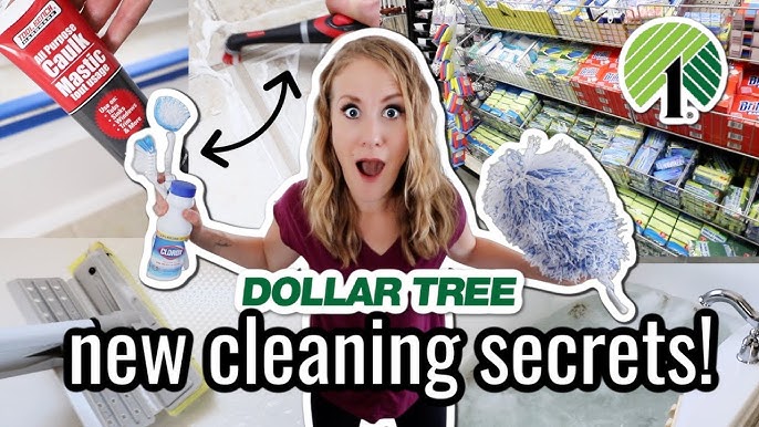 Dollar Tree MultiPurpose Cleaning Paste