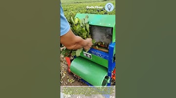 Automatic peanut picker: peanut machine threshing home small electric