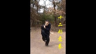 Xing Yi Quan Shi er xing 形意拳十二形  Wulin Dnepr