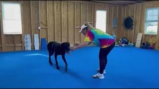 River CrisisDogsNC rescue needs a home