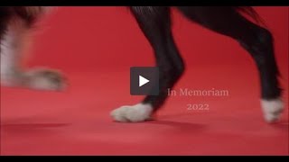 In Memoriam 2022