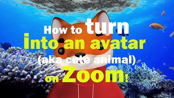 Zoom now lets you use avatars 🐱🐶🐼🐻🐨🐺  !