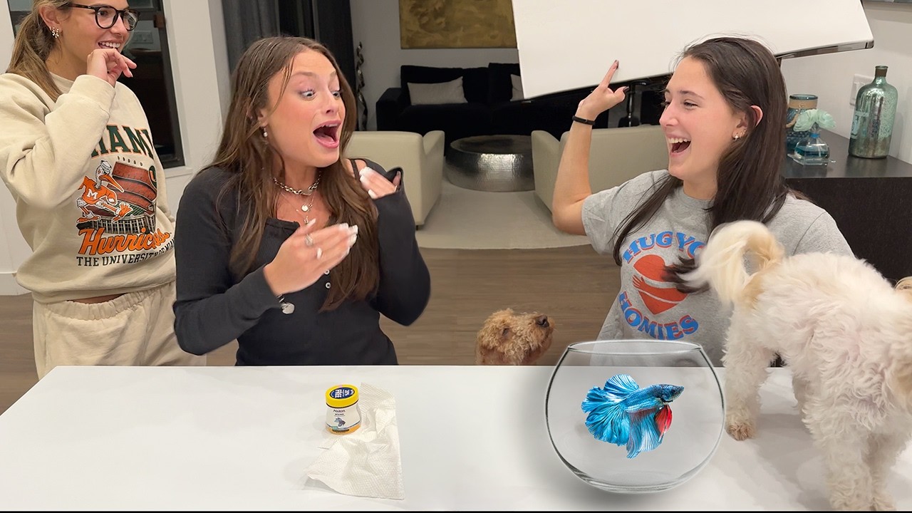 We tried EVERY TIKTOK Challenge - YouTube