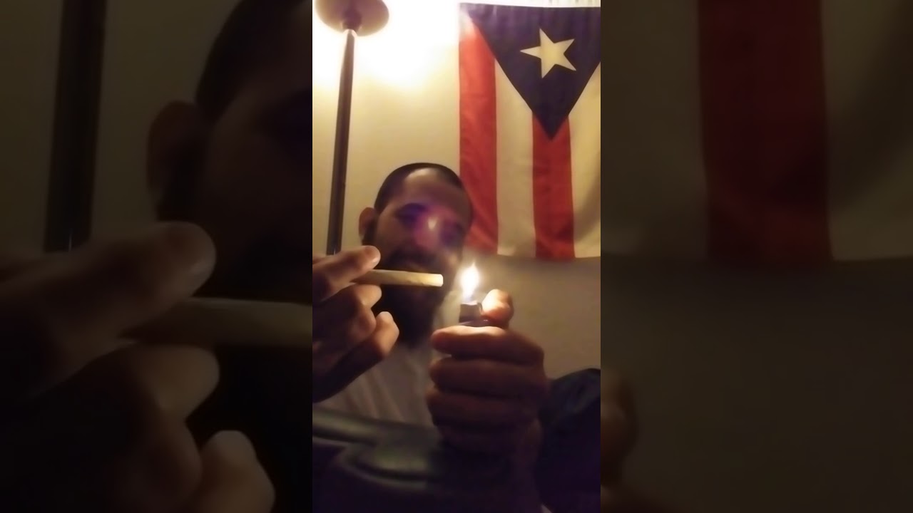 Trying King Palm wrap