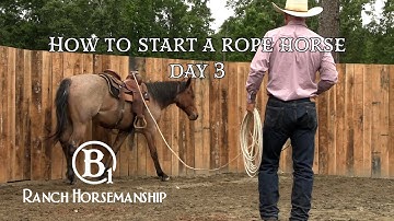How To Start a Rope Horse Day 3 Preview