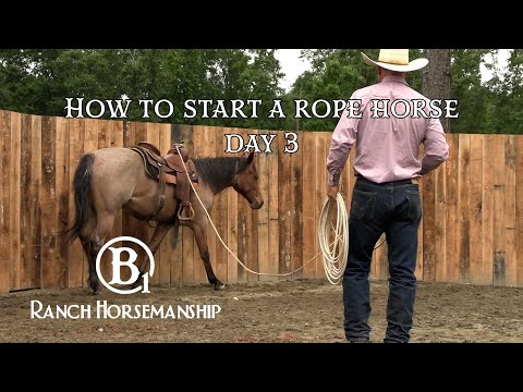 How To Start